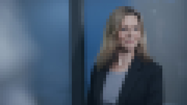 Praesent congue erat at